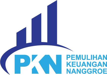 PKN Logo
